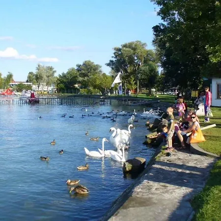 In Balatonboglar/balaton 18168 *